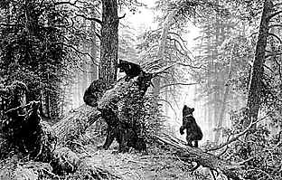 Утро в сосновом лесу. Худ. И.И. Шишкин. 1889 г.